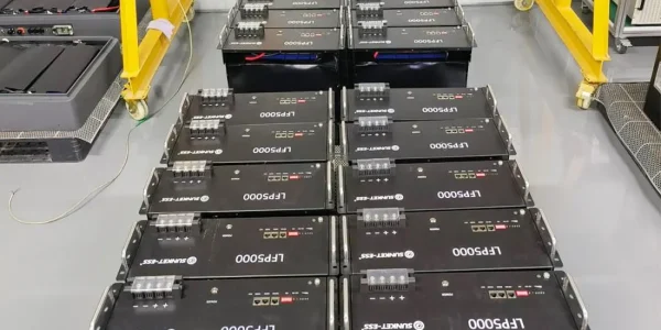 66